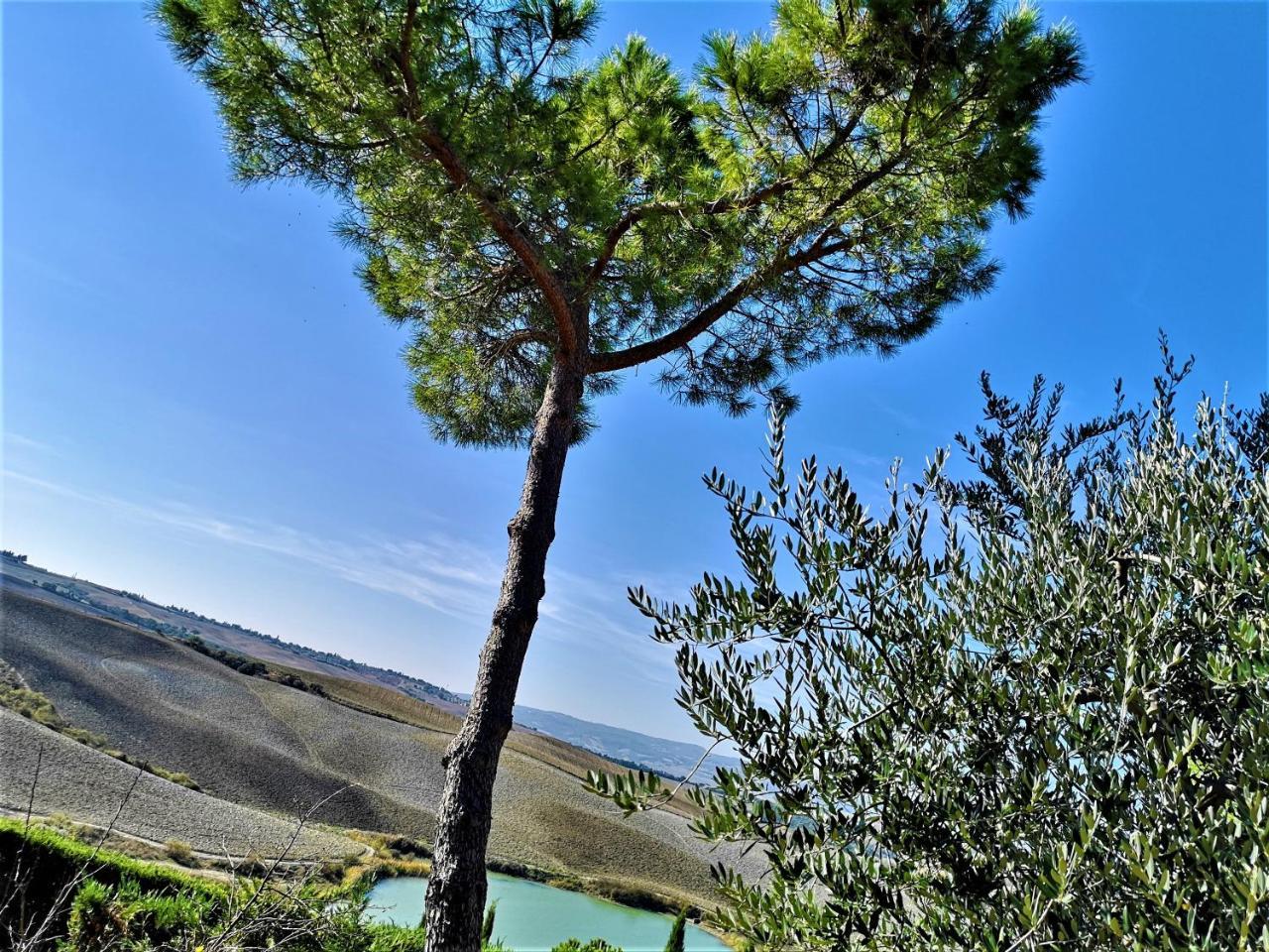 Agriturismo Palazzo Conti - B Pienza Eksteriør bilde