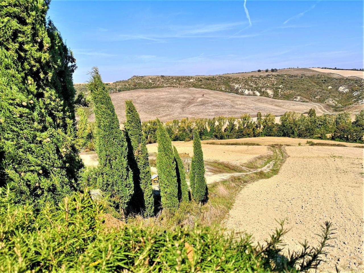 Agriturismo Palazzo Conti - B Pienza Eksteriør bilde